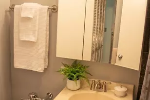 222 E Pearson St, Chicago, IL 60611 - Photo 9