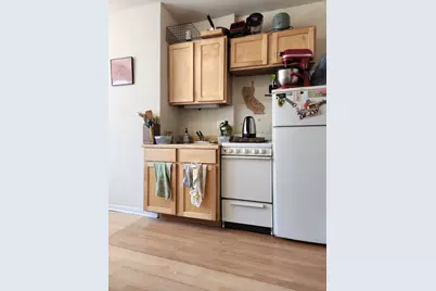 1504 N Dearborn Parkway #306, Chicago, IL 60610 - Photo 9