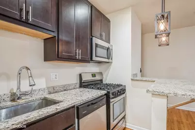 1504 N Dearborn Parkway #403, Chicago, IL 60610 - Photo 3