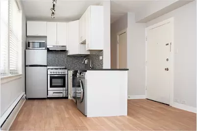 511 W Belmont Avenue #3, Chicago, IL 60657 - Photo 3