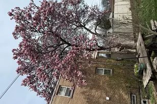 1747 N Sayre Ave, Chicago, IL 60707 - Photo 31