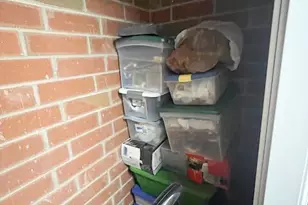 6870 W Winding Trail, Oak Forest, IL 60452 - Photo 25