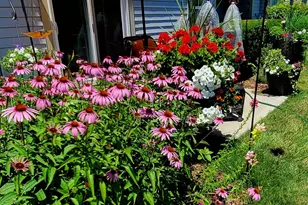 1447 Club Dr, Glendale Heights, IL 60139 - Photo 21