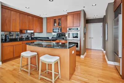 445 E North Water Street #1305, Chicago, IL 60611 - Photo 13