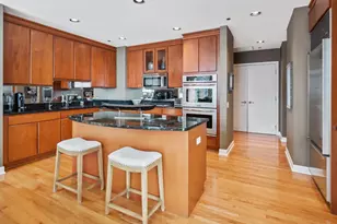 445 E North Water St, Chicago, IL 60611 - Photo 13