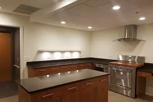 445 E North Water St, Chicago, IL 60611 - Photo 33