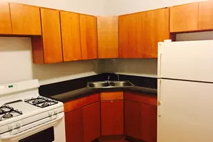 1511 E 54th St, Chicago, IL 60615 - Photo 5