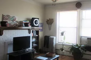 1511 E 54th St, Chicago, IL 60615 - Photo 3