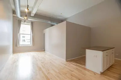 2000 S Michigan Avenue #312, Chicago, IL 60616 - Photo 3