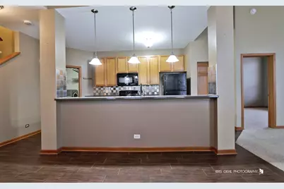 8038 Bluestem Avenue, Joliet, IL 60431 - Photo 3