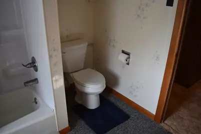 208 S Jefferson Street, Flanagan, IL 61740 - Photo 27