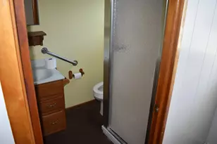 208 S Jefferson St, Flanagan, IL 61740 - Photo 29