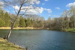 305 Campers Ln, Creal Springs, IL 62922 - Photo 7