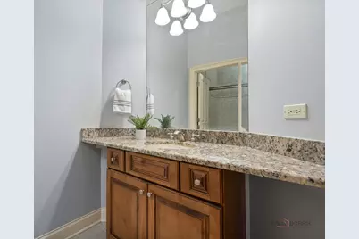 435 Winfield Lane, Inverness, IL 60010 - Photo 39