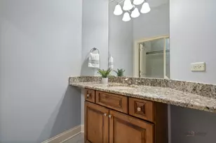 435 Winfield Ln, Inverness, IL 60010 - Photo 39