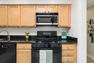 1333 Maple Ave, Evanston, IL 60201 - Photo 15