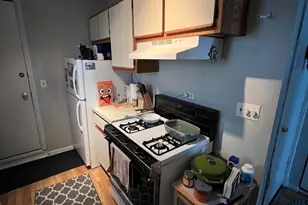 866 W Aldine Ave, Chicago, IL 60657 - Photo 5