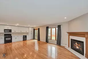 16616 Grants Trail, Orland Park, IL 60467 - Photo 9