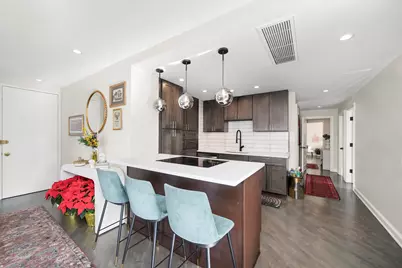 21 W Goethe Street #18GH, Chicago, IL 60610 - Photo 13