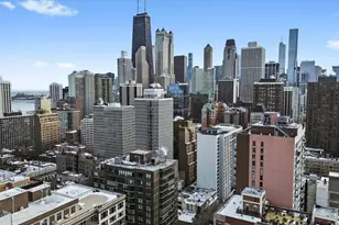 21 W Goethe St, Chicago, IL 60610 - Photo 27