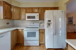 227 Parktrail Ct, Schaumburg, IL 60173 - Photo 9