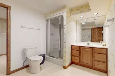 227 Parktrail Court, Schaumburg, IL 60173 - Photo 29