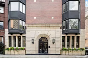 39 E Schiller St, Chicago, IL 60610 - Photo 37