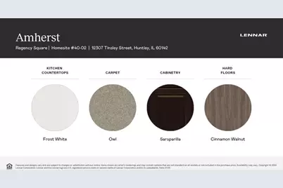 12386 Tinsley Street, Huntley, IL 60142 - Photo 21