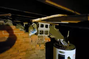 1202 17th St, Viola, IL 61486 - Photo 9