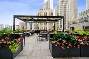 30 E Huron St, Chicago, IL 60611 - Photo 9