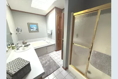 23000 S Big Run Drive, Frankfort, IL 60423 - Photo 9