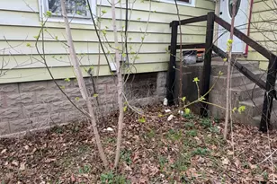 10802 W Yorkhouse Rd, Beach Park, IL 60087 - Photo 5