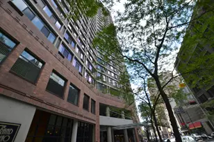 211 E Ohio St, Chicago, IL 60611 - Photo 3