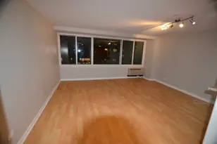 211 E Ohio St, Chicago, IL 60611 - Photo 11