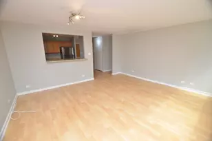 211 E Ohio St, Chicago, IL 60611 - Photo 21