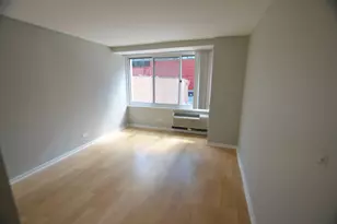 211 E Ohio St, Chicago, IL 60611 - Photo 15