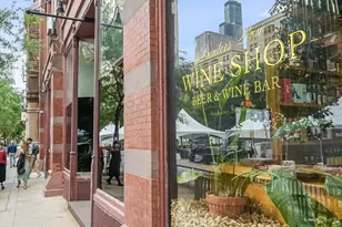 124 W Polk St, Chicago, IL 60605 - Photo 39