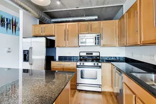 125 E 13th St, Chicago, IL 60605 - Photo 9