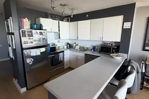 474 N Lake Shore Dr, Chicago, IL 60611 - Photo 15