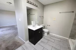 5244 Bentgrass Ave, Richton Park, IL 60471 - Photo 15