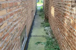 8926 S Lowe Ave, Chicago, IL 60620 - Photo 11