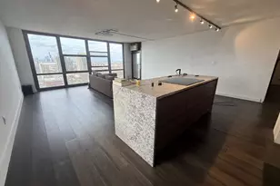 3001 S Michigan Ave, Chicago, IL 60616 - Photo 5