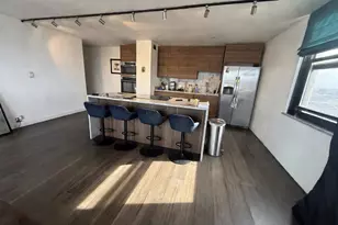 3001 S Michigan Ave, Chicago, IL 60616 - Photo 3