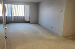 606 E Woodland Park Ave, Chicago, IL 60616 - Photo 5