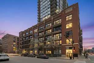 210 S Desplaines St, Chicago, IL 60661 - Photo 21