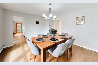 1107 S Hamlin Avenue, Park Ridge, IL 60068 - Photo 7