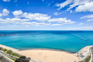 1040 N Lake Shore Dr, Chicago, IL 60611 - Photo 9