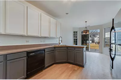 24329 Leski Lane, Plainfield, IL 60585 - Photo 5