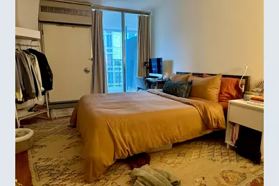 300 N State Street #2411, Chicago, IL 60654 - Photo 3
