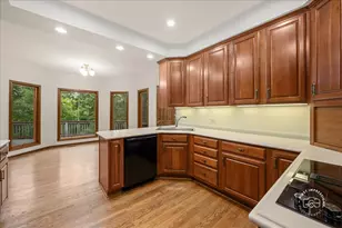 3N221 Springwood Ln, Elburn, IL 60119 - Photo 9
